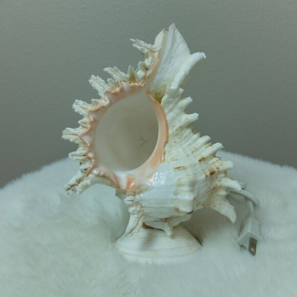 Seashell Lamp Night Light NWOT - Picture 3 of 10
